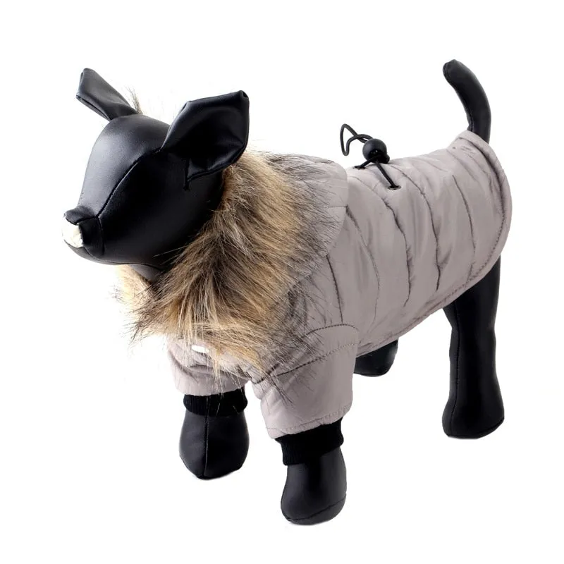 Comfy and Warm Fur Fall Autumn Winter Coats for Dogs