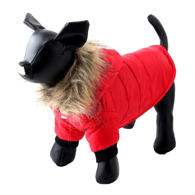Comfy and Warm Fur Fall Autumn Winter Coats for Dogs