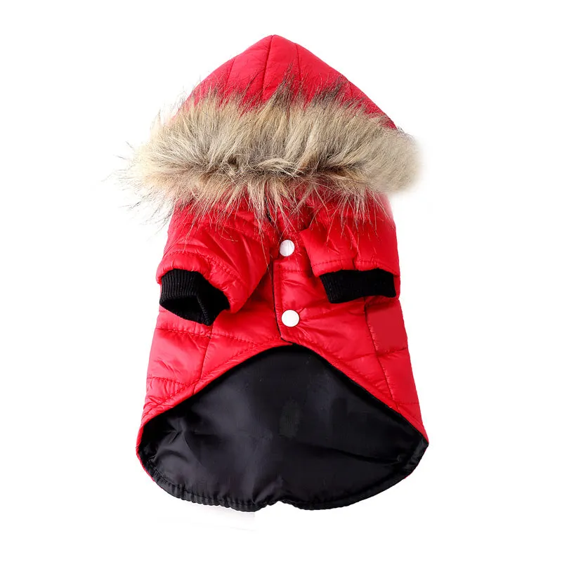 Comfy and Warm Fur Fall Autumn Winter Coats for Dogs
