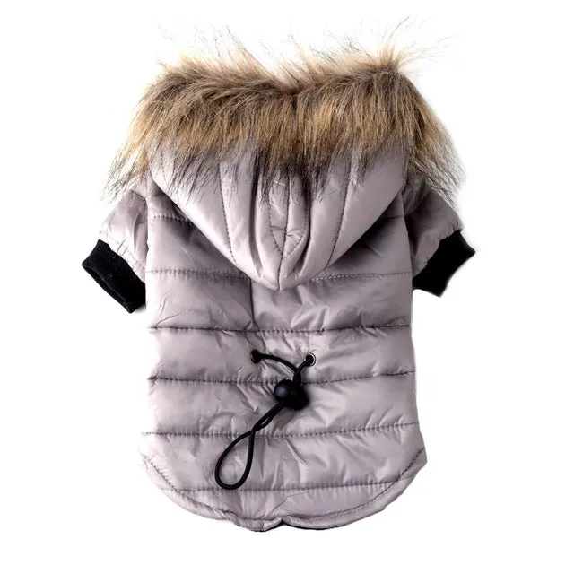 Comfy and Warm Fur Fall Autumn Winter Coats for Dogs