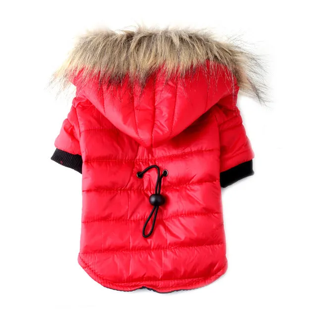 Comfy and Warm Fur Fall Autumn Winter Coats for Dogs